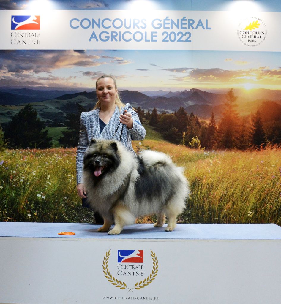 De La Lumière D'Héméra - Laicka premier prix championnat femelle au salon de l'agriculture 2022