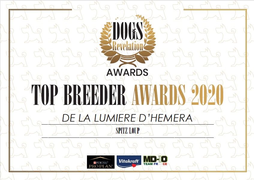 De La Lumière D'Héméra - Dog revelations Awards 2020 !