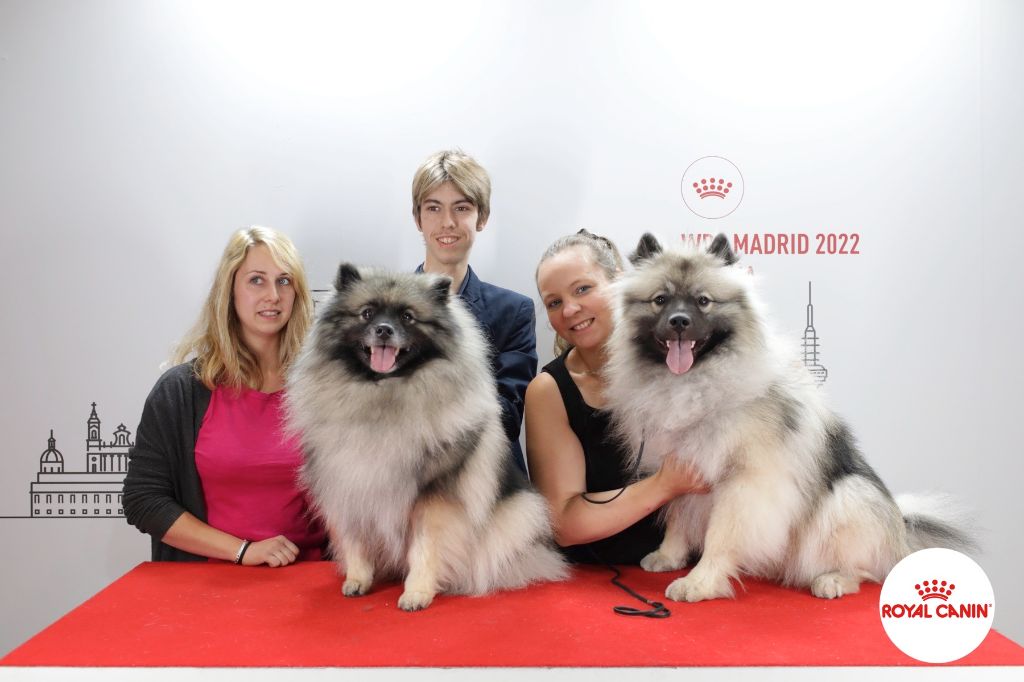 De La Lumière D'Héméra - WORLD DOG SHOW'20, Madrid 24/06/2022