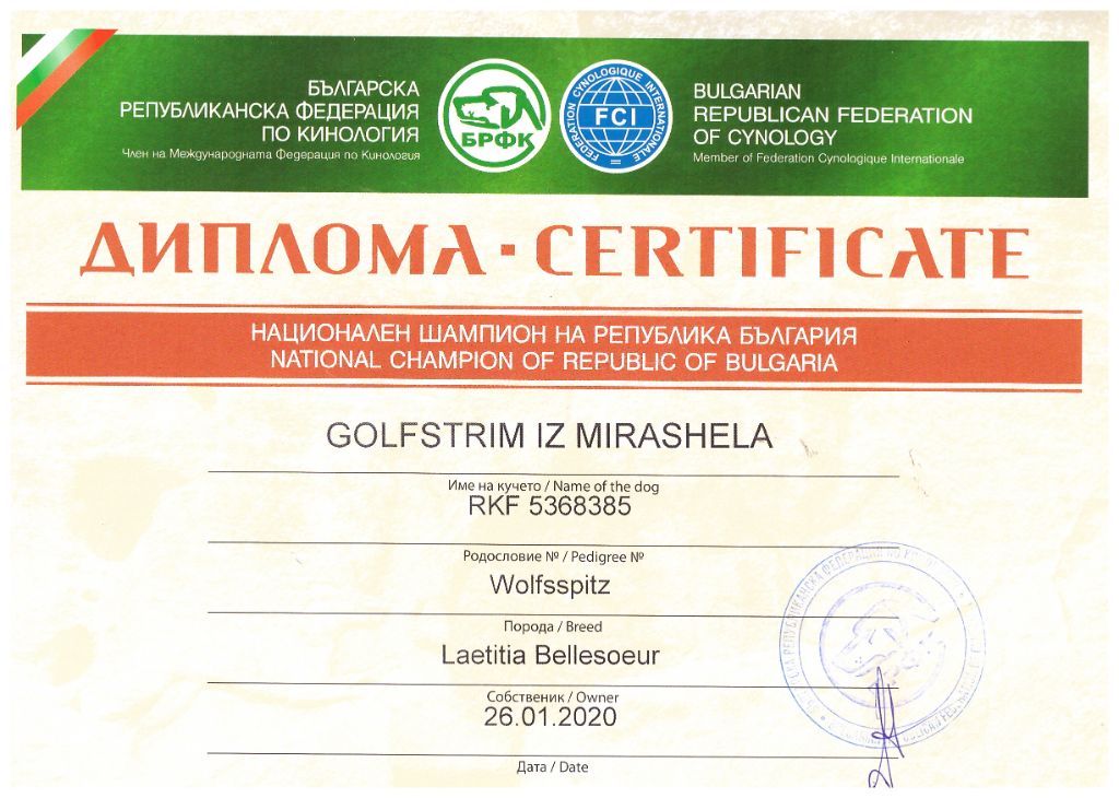 CH. Jch golfstrim iz mirashella