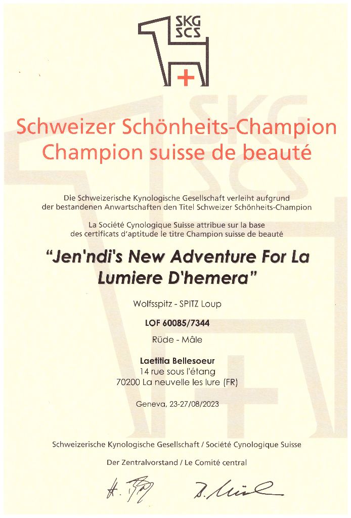 CH. jen'ndi 's new adventure for la lumiere d'hemera