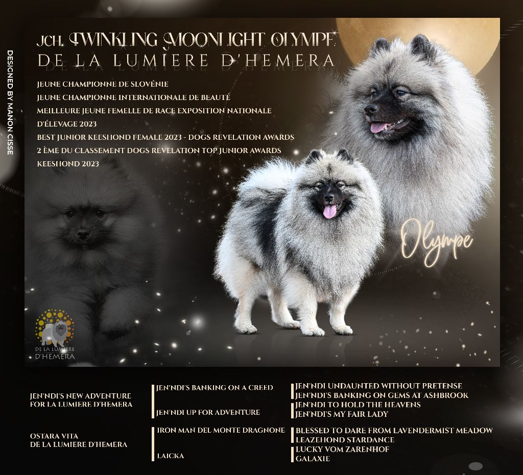 CH. Jch twinkling moonlight olympe De La Lumière D'Héméra