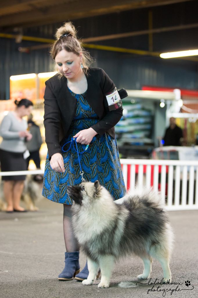 Conditionneur Final chien, chat - Expo - CANISLANA