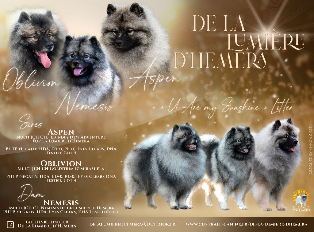De La Lumière D'Héméra - Carnet Rose