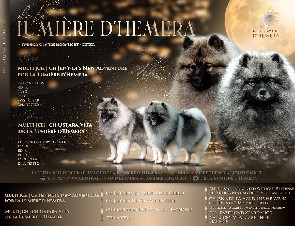 Twinkling Moonlight Diamond De La Lumiere D'Hemera "Black Diamond"
