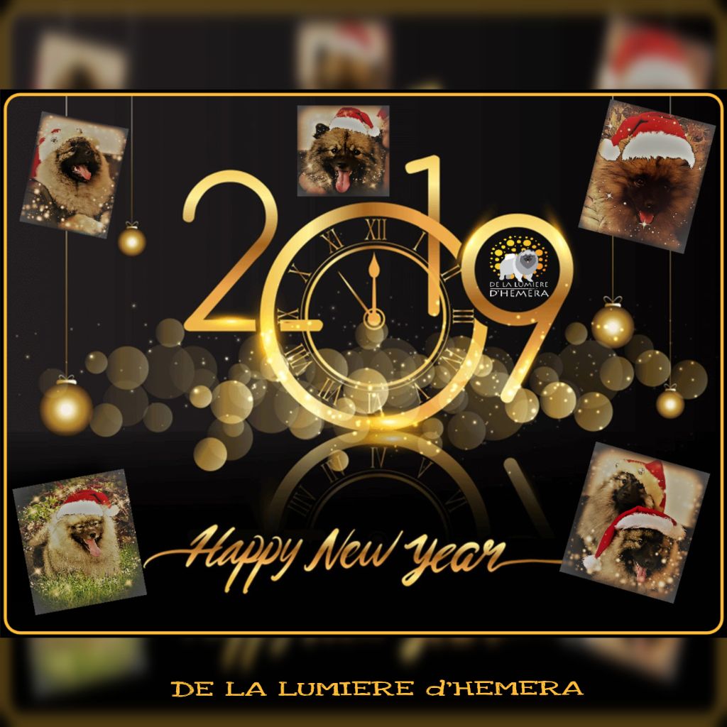 Joyeux Noel 2018 et Bonne année 2019 !