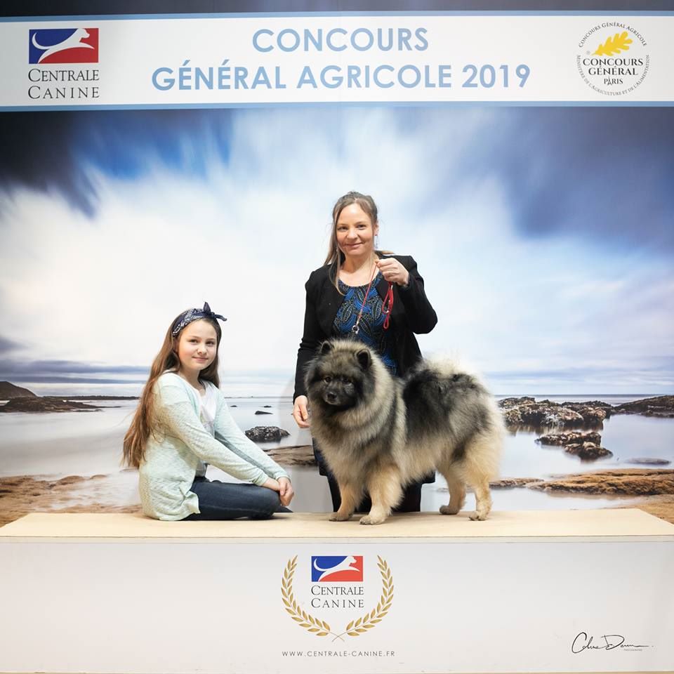 Souvenirs d'expositions Canines