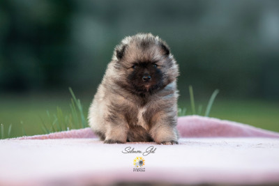 Breath-of Rhea Bonnie de La Lumiere d'Hemera